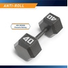 image:imageMarcy Cast Iron Hex Dumbbells Collection  Available size from 3lb to 100lb SOLD INDIVIDUALLY40lbs