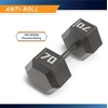 image:imageMarcy Cast Iron Hex Dumbbells Collection  Available size from 3lb to 100lb SOLD INDIVIDUALLY70lbs