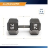 image:imageMarcy Cast Iron Hex Dumbbells Collection  Available size from 3lb to 100lb SOLD INDIVIDUALLY75lbs